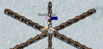 181.jpg